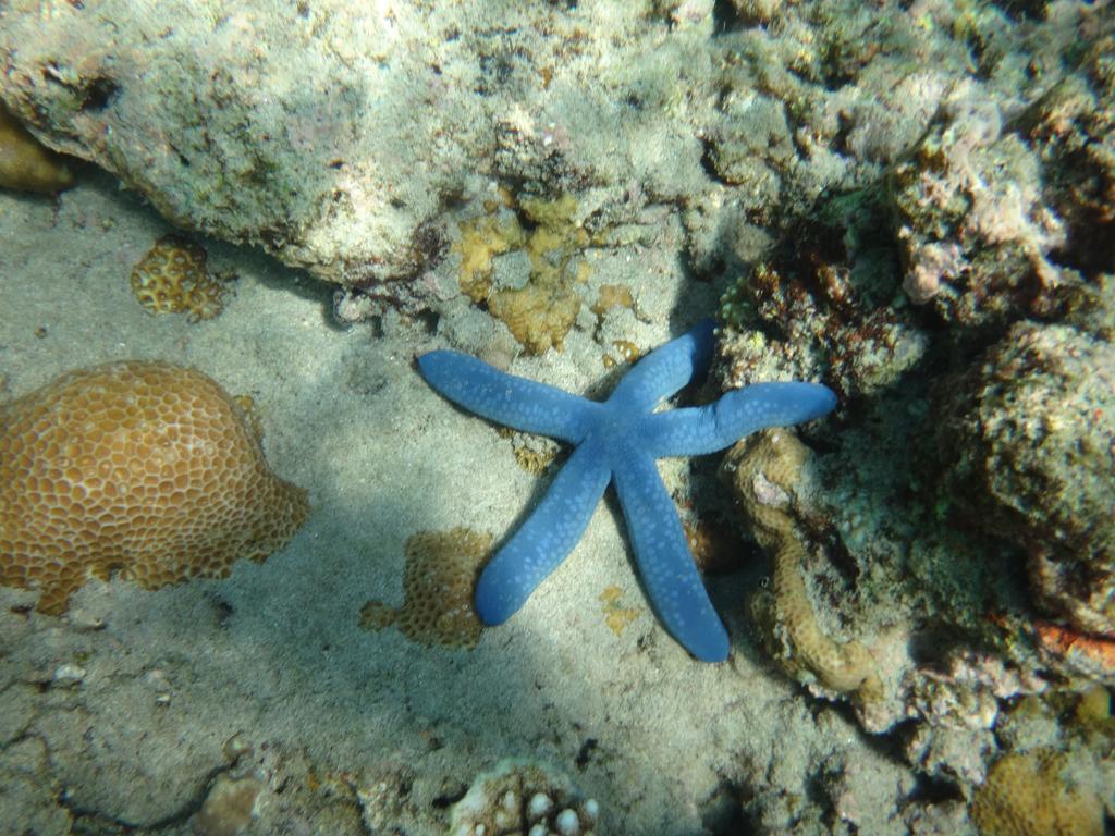 Wera Beach Kadumbul Buitenkant foto