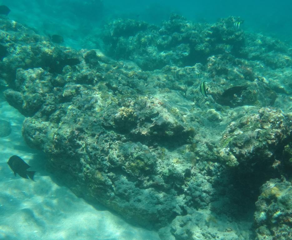 Wera Beach Kadumbul Buitenkant foto