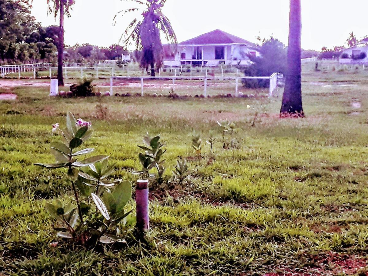 Wera Beach Kadumbul Buitenkant foto